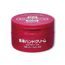 SHISEIDO Hand Cream (100 g)