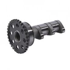 CAMSHAFT INTAKE HOT CAMS 4302-3IN