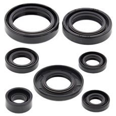 ENGINE OIL SEAL KIT WINDEROSA EOSK 822197