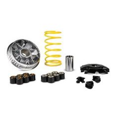 VARIATOR MULTIVAR 2000 MHR MALOSSI 5119760