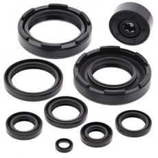 ENGINE OIL SEAL KIT WINDEROSA 822221