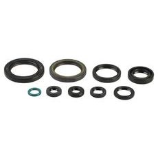 SET TESNIL MOTORJA ZA OLJE (ENGINE OIL SEALS KIT) ATHENA P400210400239