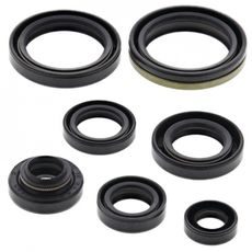 ENGINE OIL SEAL KIT WINDEROSA 822124