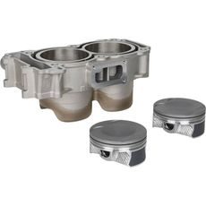 STANDARD BORE CYLINDER KIT CYLINDER WORKS 60003-K02