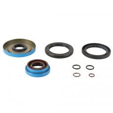DIFFERENTIAL SEAL ONLY KIT ALL BALLS RACING DB25-2087-5