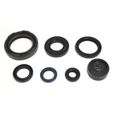 SET TESNIL MOTORJA ZA OLJE (ENGINE OIL SEALS KIT) ATHENA P400485400254