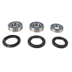 WHEEL BEARING KIT ALL BALLS RACING 25-1798 WB25-1798 ZADAJ
