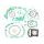 Celoten set tesnil za motor ATHENA P400210850105