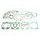 Celoten set tesnil za motor ATHENA P400270850220/1