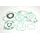 Celoten set tesnil za motor ATHENA P400210850065