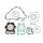 Celoten set tesnil za motor ATHENA P400250850014