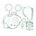 Celoten set tesnil za motor ATHENA P400250850207