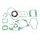 Celoten set tesnil za motor ATHENA P400210850256