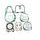 Celoten set tesnil za motor ATHENA P400510850401