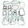 Celoten set tesnil za motor ATHENA P400480850126