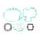 Celoten set tesnil za motor ATHENA P400420850016