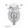 CROSSOVER Front brake hose kit Venhill POWERHOSEPLUS HON-10016FS-RD (2 cevi v kompletu) Red hoses, stainless steel fittings