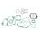 Celoten set tesnil za motor ATHENA P400210850110