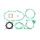 Celoten set tesnil za motor ATHENA P400210850254