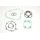Celoten set tesnil za motor ATHENA P400250850085