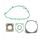 Celoten set tesnil za motor ATHENA P400250850001