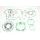 Celoten set tesnil za motor ATHENA P400250850130