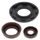 Engine Oil Seal Kit WINDEROSA EOSK 822353