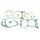 Celoten set tesnil za motor ATHENA P400510850263