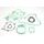 Celoten set tesnil za motor ATHENA P400210850085