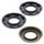 Oil seal set WINDEROSA 622803
