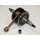 Crankshaft AOKI