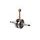 Crankshaft Mazzucchelli 100012033