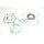 Celoten set tesnil za motor ATHENA P400250850082
