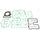 Celoten set tesnil za motor ATHENA P400250850049