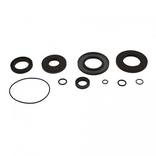 DIFFERENTIAL SEAL ONLY KIT ALL BALLS RACING DB25-2130-5