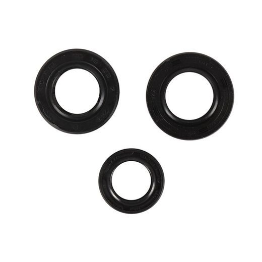 ENGINE OIL SEAL KIT WINDEROSA 822389