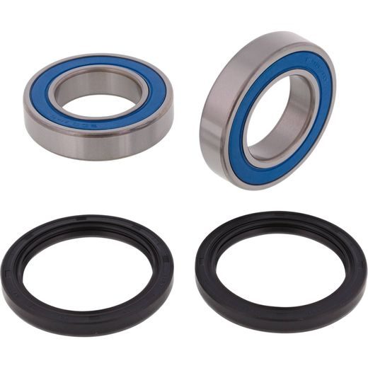 WHEEL BEARING KIT ALL BALLS RACING WB25-1832