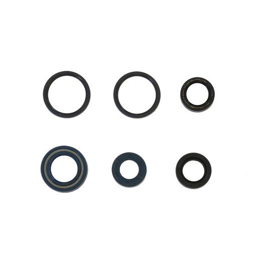 SET TESNIL MOTORJA ZA OLJE (ENGINE OIL SEALS KIT) ATHENA P400210400004