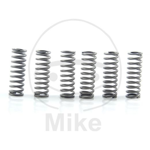 CLUTCH SPRING KIT EBC CSK125 6