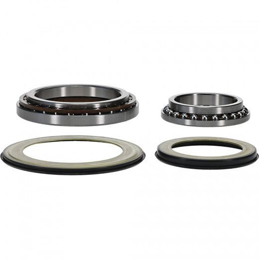 STEERING BEARING KIT ALL BALLS RACING SB22-1079