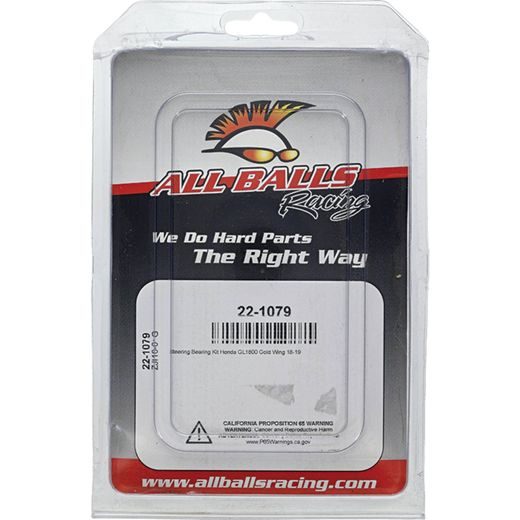 STEERING BEARING KIT ALL BALLS RACING SB22-1079