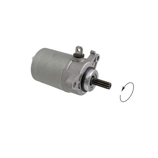 ZAGANJALNIK (ŠTARTER ZA MOTOR) RMS 246390820