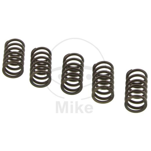 CLUTCH SPRING KIT EBC CSK194 5