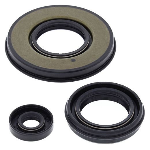 ENGINE OIL SEAL KIT WINDEROSA EOSK 55199