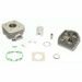 CILINDER KIT ATHENA 071900/1 STANDARD BORE (WITH HEAD) D 39 MM, 49 CC