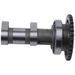 CAMSHAFT EXHAUST HOT CAMS 2321-1E