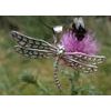 Dragonfly Sterling Silver Pendant