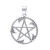 Silver Pentacle in Oak Leaves Pendant