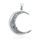 Oak Moon Sterling Silver Pendant
