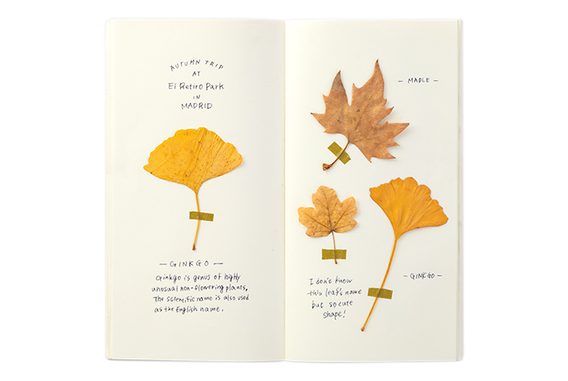 Recharge #025 : Cahier vierge en papier crème à grammage élevé